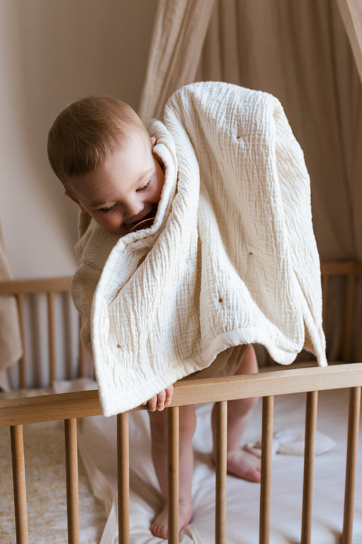 blanket - flannel dot